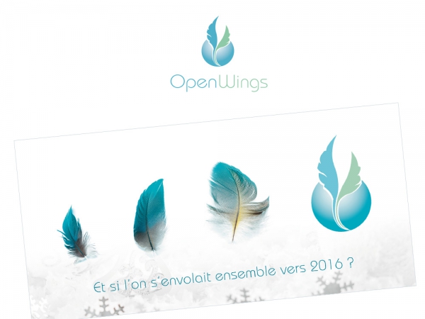 open wings logo et charte graphique