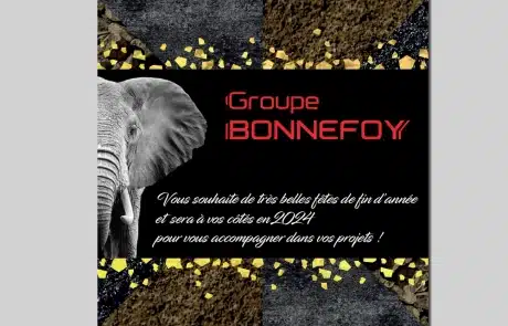 Carte de voeux Groupe Bonnefoy réalisée par Bubbl'com