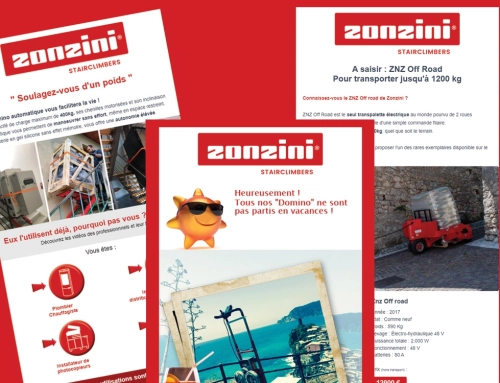 Newsletters Zonzini France